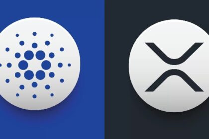 Cardano (ADA) founder Charles Hoskinson meets Ripple CEO Brad Gerlinghouse – here’s more details