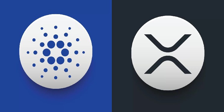 Cardano (ADA) founder Charles Hoskinson meets Ripple CEO Brad Gerlinghouse – here’s more details