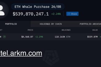 Ethereum whales attack again: 6.8 million purchased at nine addresses
