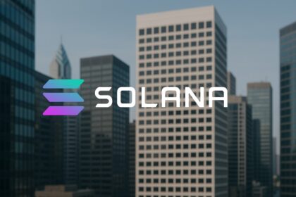 Solana has already fallen in love with 13 companies.