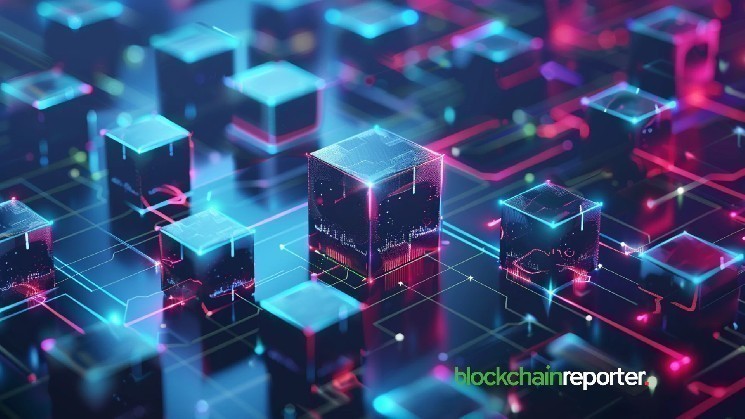 Broken Bound strengthens the Crypto community with BEBE governance