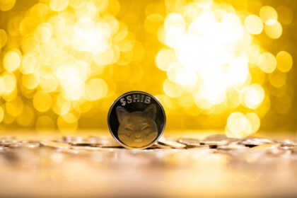 Shiba Inu active addresses crash more than 50% in 3 months, how about Shib Price?