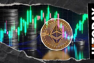 Why does everyone buy Ethereum?