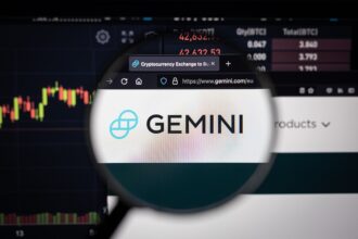 Gemini contributes to the stock market
