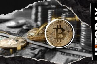 Bitcoin’s first daily ,000 candle emerges: What’s next? Bitcoin’s first daily ,000 candle emerges: What’s next?