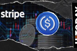 Stripe USDC transfers over 0 million on Polygon, Base and Ethereum