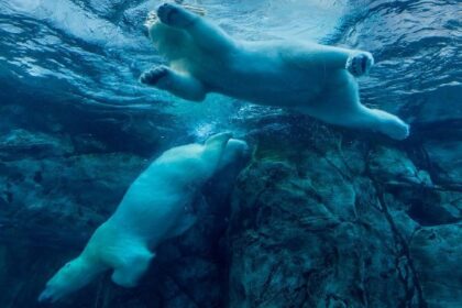 Cryptocurrency stocks plunge on Wednesday, with Galaxy and Bitcoin miners leading the decline Cryptocurrency stocks plunge on Wednesday, with Galaxy and Bitcoin miners leading the decline