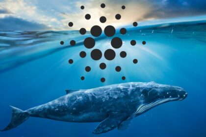ADA Whale Buys a Push: A Bullish Sign for Cardano Price? ADA Whale Buys a Push: A Bullish Sign for Cardano Price?