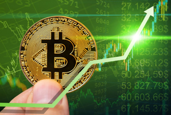 Bitcoin is now the standard: Outperform Bitcoin or be left behind – CEO