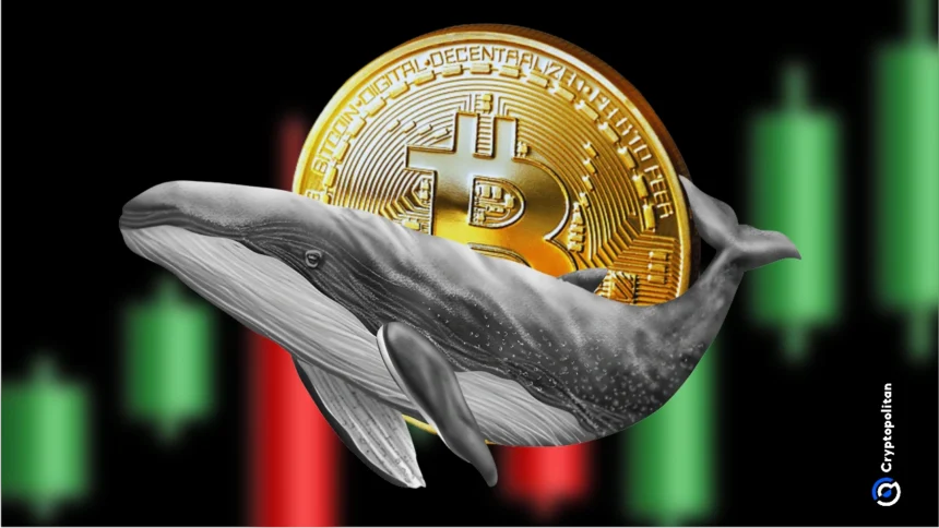 Institutional investors shape the Bitcoin market