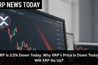Today’s XRP News: XRP fell 3.5% today. Why is the price of XRP falling today and will XRP rise?