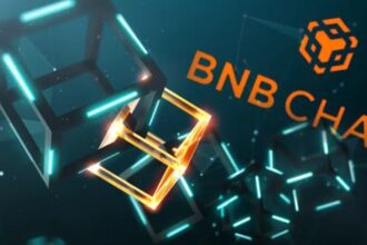 Crowds have fallen in love with BNB Chain, the network created by Binance Crowds have fallen in love with BNB Chain, the network created by Binance