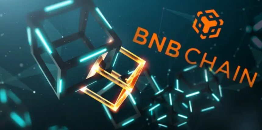 Crowds have fallen in love with BNB Chain, the network created by Binance Crowds have fallen in love with BNB Chain, the network created by Binance