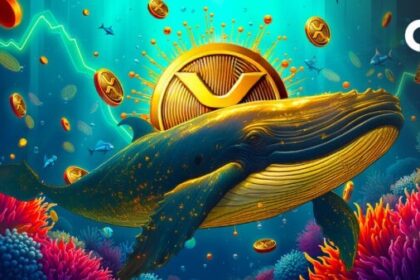 Whale releases 70 million XRP to drive price to weekly high Whale releases 70 million XRP to drive price to weekly high
