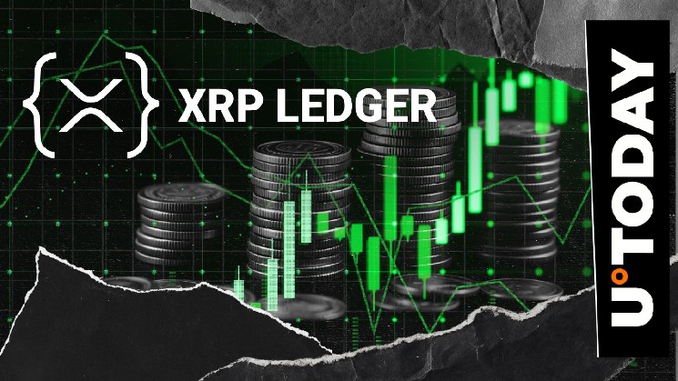 UPHOLD exec examines XRP Ledger Token Standard and lists major rises