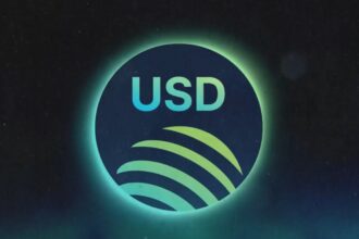 Solana’s main DEX issues stablecoin Solana’s main DEX issues stablecoin