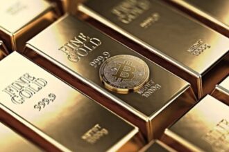 US Bitcoin reserves are already equivalent to 3.5% of gold US Bitcoin reserves are already equivalent to 3.5% of gold