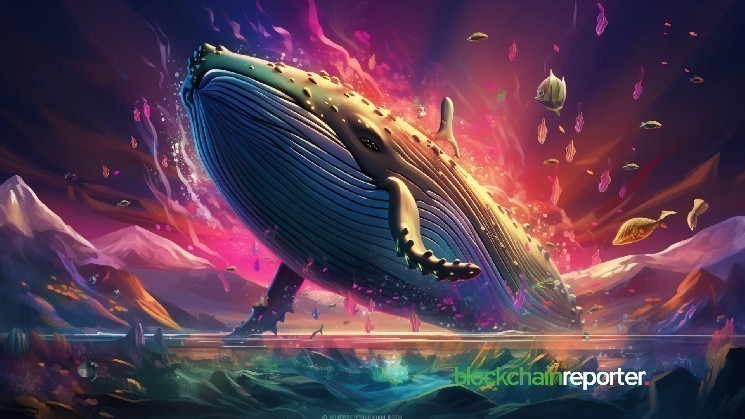 Whale buys 1.47 million VEIL tokens in 3 days, signaling growing institutional confidence in this undervalued token Whale buys 1.47 million VEIL tokens in 3 days, signaling growing institutional confidence in this undervalued token