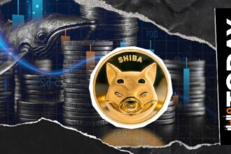 158 billion SHIB in just a few hours, Shiba Inu Whale will profit?