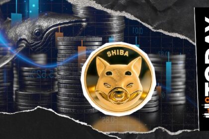 158 billion SHIB in just a few hours, Shiba Inu Whale will profit?