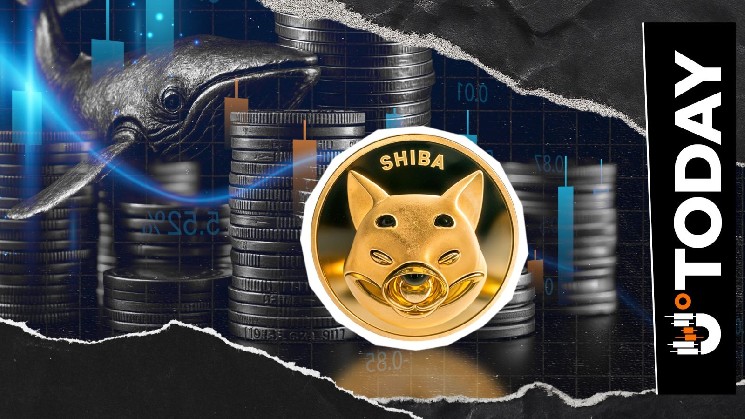 158 billion SHIB in just a few hours, Shiba Inu Whale will profit? 158 billion SHIB in just a few hours, Shiba Inu Whale will profit?