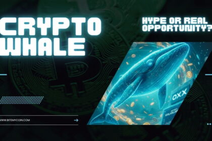 Crypto whale moves 5.6 million in USDT to OKX