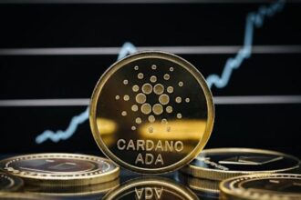 0 million in Cardano left exchanges in 3 months