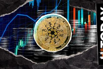 Cardano activity spikes 37,655% as open interest rises, what’s next?
