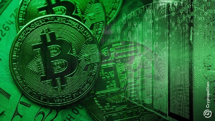 Cryptocurrency miners in Russia’s Caucasus region continue to operate in defiance of ban Cryptocurrency miners in Russia’s Caucasus region continue to operate in defiance of ban