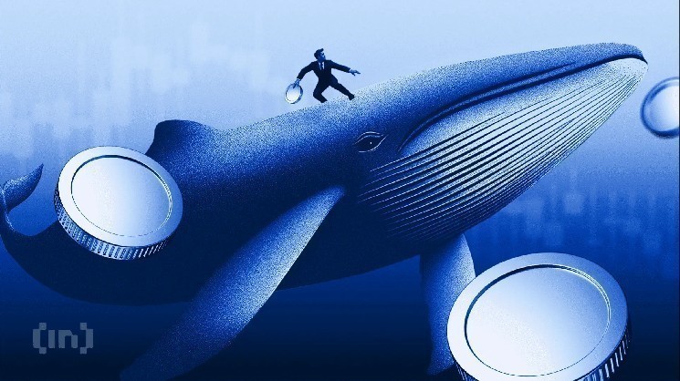 40% of Ethereum supply falls into losses as whales take opposite position 40% of Ethereum supply falls into losses as whales take opposite position