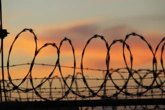 Finiko, founder of Russia’s giant cryptocurrency pyramid, deported from UAE