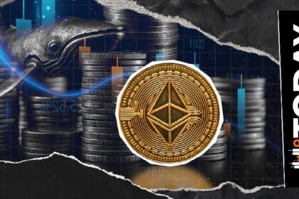 34,188 Ethereum withdrawn from popular crypto exchanges as whale betting grows