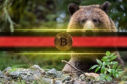 Is Bitcoin (BTC) headed for a brutal reset? Analysts warn that ,000 is still on the table