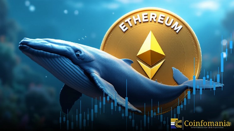 Ethereum whales near breakeven after massive ETH recovery