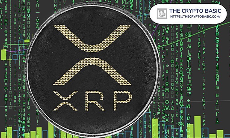 “You Are a Genius” Make More Money in XRP than in a Bank Account