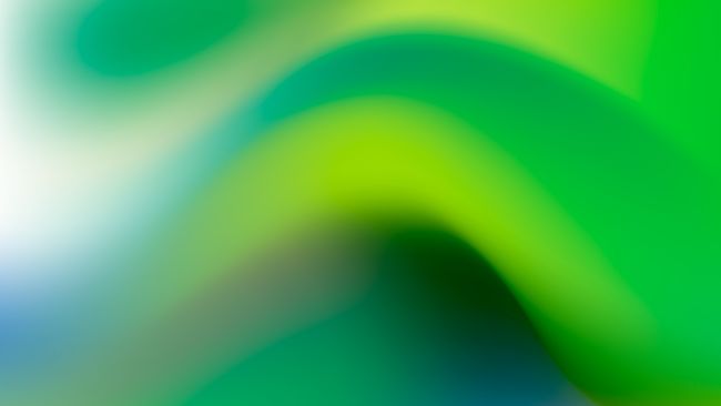 Chintai partners on natural tokenization of Indonesia