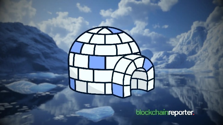 PENGU and APE dominate NFT social engagement as community activity shows market strength